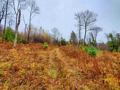 1730 Kittridge Pasture Rd, Reading, VT 05062 - photo 5