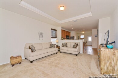 10143 Castello Canyon, San Antonio, TX 78254 - photo 6