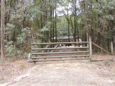 4374 290th Terrace, Branford, FL 32008 - photo 2