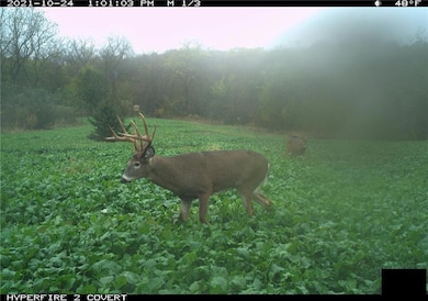 0 W Stateline Rd unit HMS2547816, Grant City, MO 64734 - photo 5