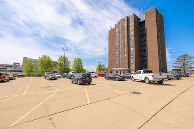 1505 N Peoria Ave unit 1002, Peoria, IL 61603 - photo 2