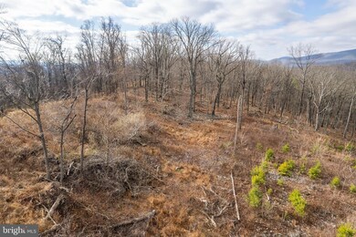 0 Back Mountain Road Lot 11, Winchester, VA 22602 - photo 7