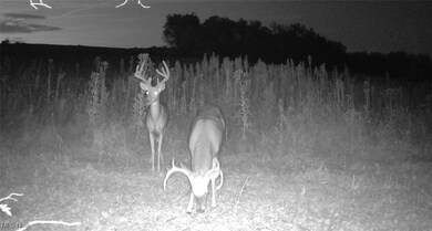 0 Emerick Rd, Franklin Township, OH 44427 - photo 6