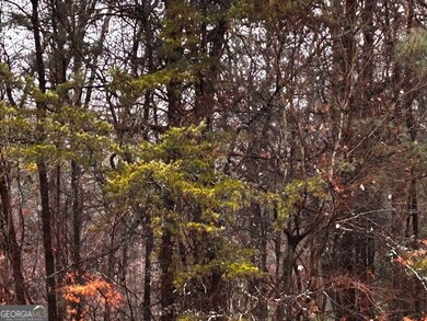 0 Talona Rd unit 10652283, Ellijay, GA 30540 - photo 5