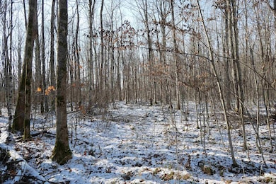 4.70 Acres Us Highway 8, Prentice, WI 54556 - photo 3