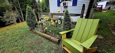 2984 Runa Rd, Mount Nebo, WV 26679 - photo 2