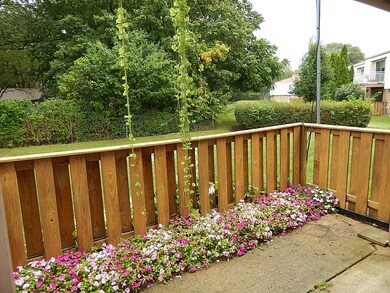 4512 Kings Walk Dr unit 1B, Rolling Meadows, IL 60008 - photo 3