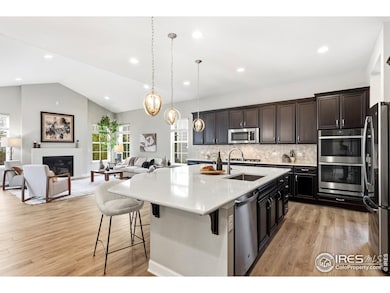 797 Flora View Dr, Erie, CO 80516 - photo 5