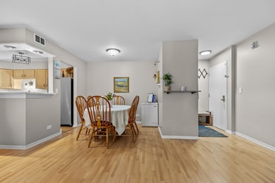 7353 Blackburn Ave unit K206, Downers Grove, IL 60516 - photo 5