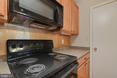 3900 Penderview Dr unit 1427, Fairfax, VA 22033 - photo 7