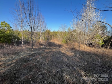 V/L Pinnacle Church Rd, Nebo, NC 28761 - photo 6