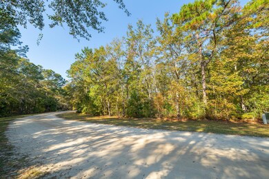 4258 True Blue Ct, Mount Pleasant, SC 29429 - photo 5