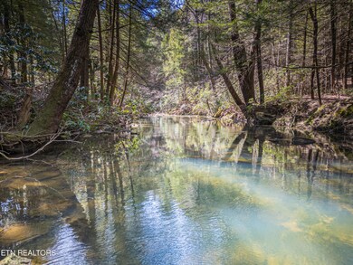 DJI_0941-HDR