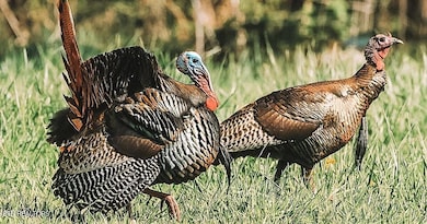 480438918_10235241552690365_459147426319