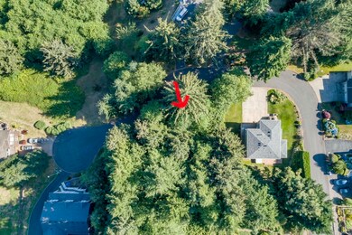 Lot on Larch Street