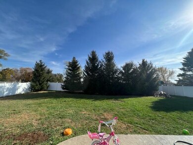 Mature trees along fenceline