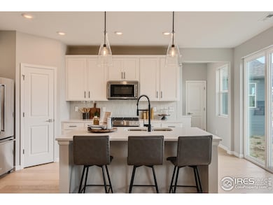 1821 Cord Grass Dr, Fort Collins, CO 80524 - photo 3