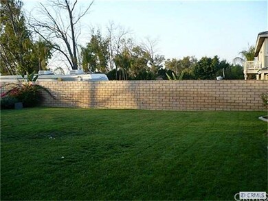 Large grass area in back yard