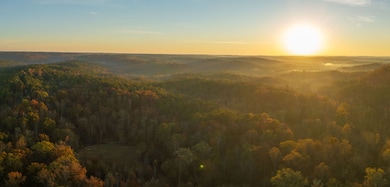 1214 Reid Place Rd, Thomaston, GA 30286 - photo 3