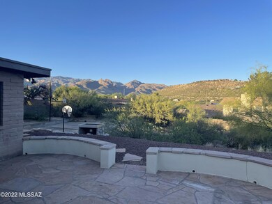 Backyard#1