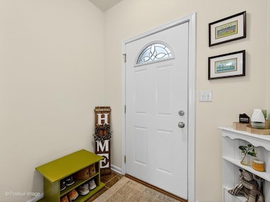 4533 Garritano St unit D, Yorkville, IL 60560 - photo 3