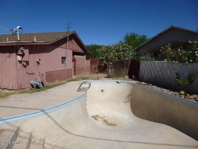 BACKYARD (4)
