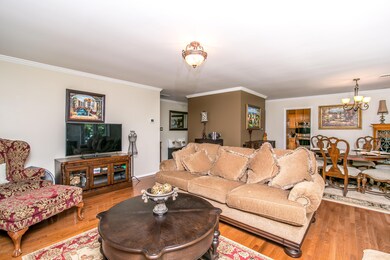 -0038 ADLER CT