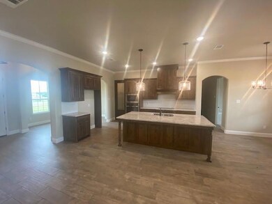 148 Katy Ranch Dr, Weatherford, TX 76085 - photo 6