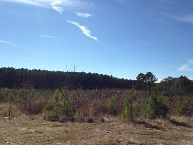 TBD Section Line Rd, Leesville, LA 71446 - photo 5
