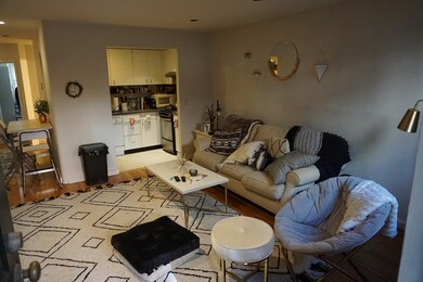 18 E Springfield St unit 1, Boston, MA 02118 - photo 3