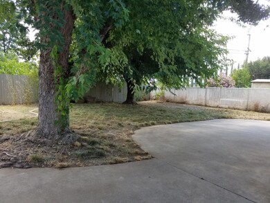230-backyard-2-6-17