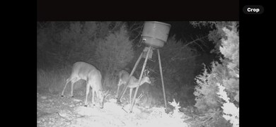 0 Fairview Rd unit 145, Rocksprings, TX 78880 - photo 4