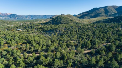 81 AC Rachel Ln, New Harmony, UT 84757 - photo 4