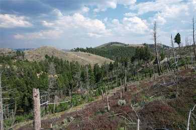 467 Depot Hill Rd, Boulder, MT 59632 - photo 6