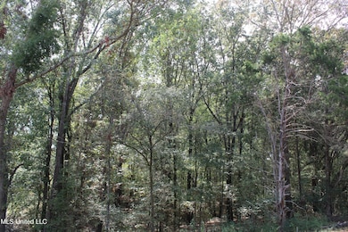 13 Old Barn Cove, Hernando, MS 38632 - photo 3