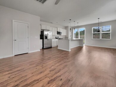 119 Wild Holly Dr, Moncks Corner, SC 29461 - photo 7