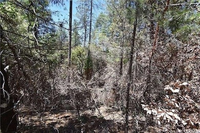 0 Galen Creek Rd unit 225144688, Berry Creek, CA 95916 - photo 4