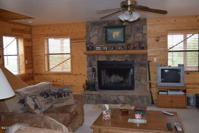 tamerron great room fire place