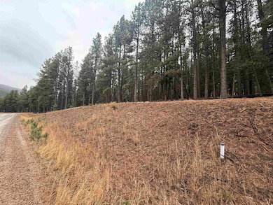 Lot 53 Valle Grande Trail, Angel Fire, NM 87710 - photo 4