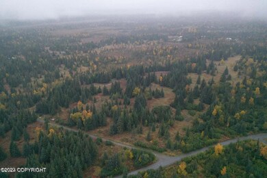 W7 Alaskan Wildwood Ranch(r), Nikolaevsk, AK 99556 - photo 3