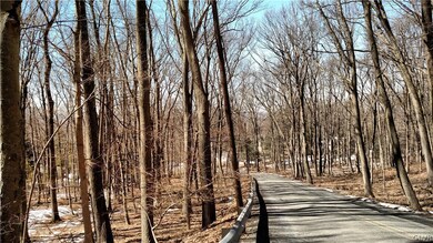 540 Oakhill Rd, Salisbury Township, PA 18049 - photo 5