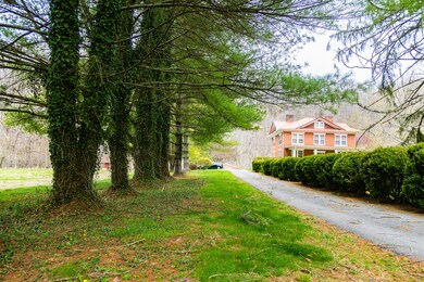 driveway trees
