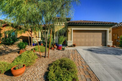 Front yard