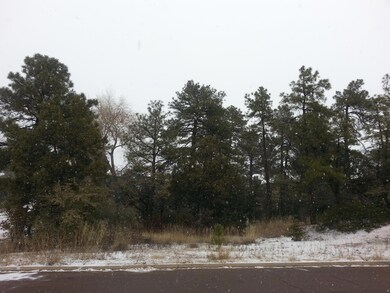 200 E Zurich Dr, Payson, AZ 85541 - photo 5