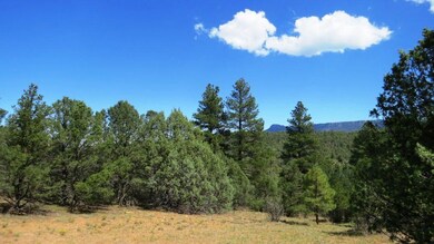 IMG_5438-1024x576 (1)