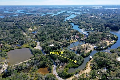 14788 W Hide a Way Dr, Crystal River, FL 34429 - photo 5