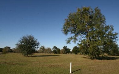 LOT79 Mandiba Dr, Lake City, FL 32024 - photo 2