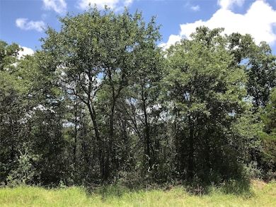 1190 N Lakeview Dr, Palo Pinto, TX 76484 - photo 3