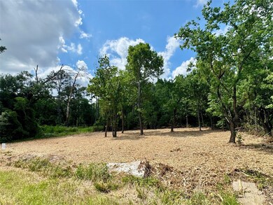 0 W Hardy 31b Rd unit 68248209, Houston, TX 77073 - photo 4