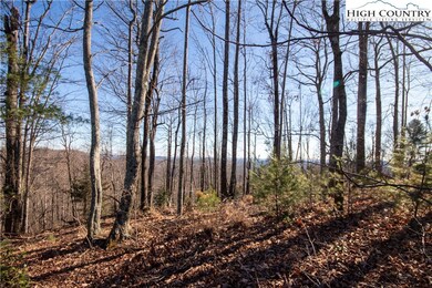 Long Range Mountain Views